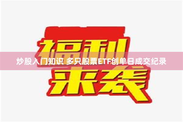 炒股入门知识 多只股票ETF创单日成交纪录