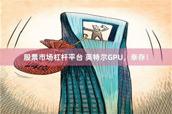 股票市场杠杆平台 英特尔GPU，幸存！