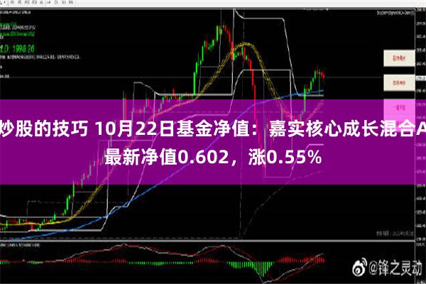 炒股的技巧 10月22日基金净值：嘉实核心成长混合A最新净值0.602，涨0.55%