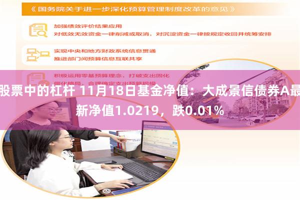 股票中的杠杆 11月18日基金净值：大成景信债券A最新净值1.0219，跌0.01%