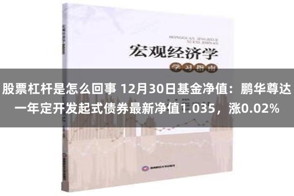 股票杠杆是怎么回事 12月30日基金净值：鹏华尊达一年定开发起式债券最新净值1.035，涨0.02%